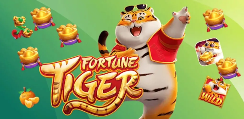 365pkt Live Tables, Slots and Crash Games on 365pkt